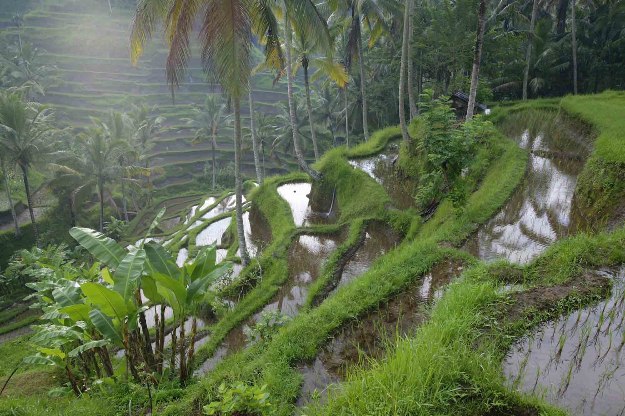 Agricultural Physical Environment