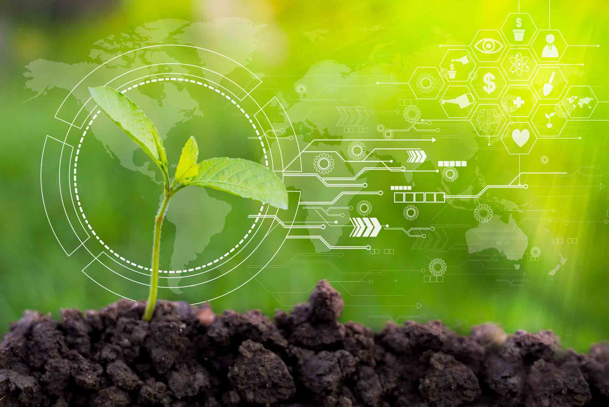 Innovations and Challenges in Agriculture