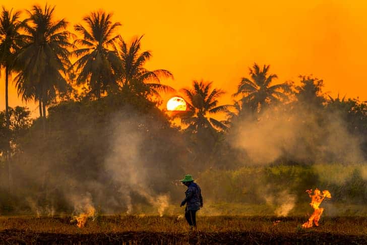 Agricultural Pollution: An Emerging Issue