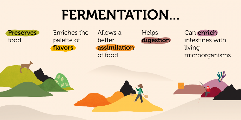 Fermentation