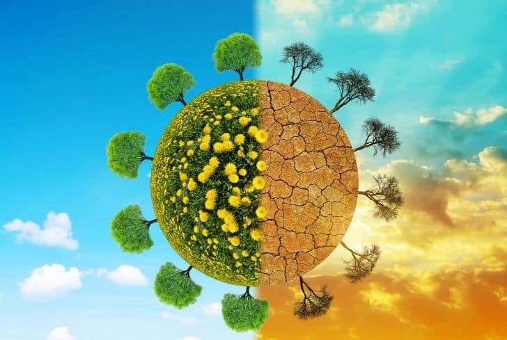 Introduction to Environmental Conservation