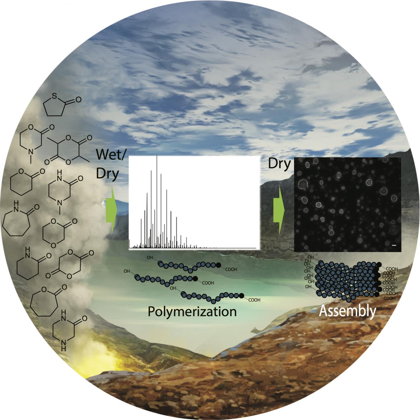 Synthesis and Characterization of New Organic Compounds