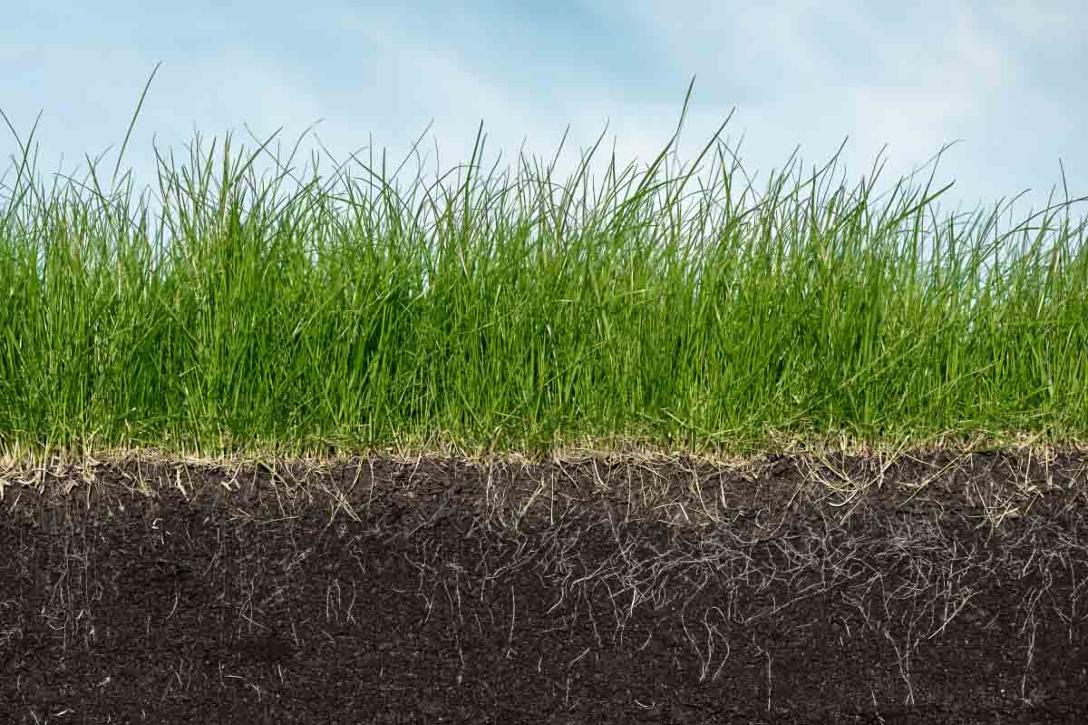 Carbon Sequestration Potential on Agricultural Lands
