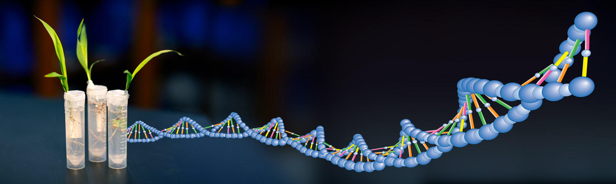 SRAP Molecular Marker Technology in Plant Science