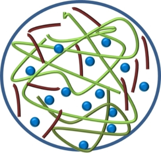 Block Copolymer Nanoparticles and Polymeric Nanoparticles