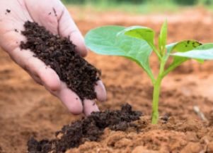 Composting in Agriculture