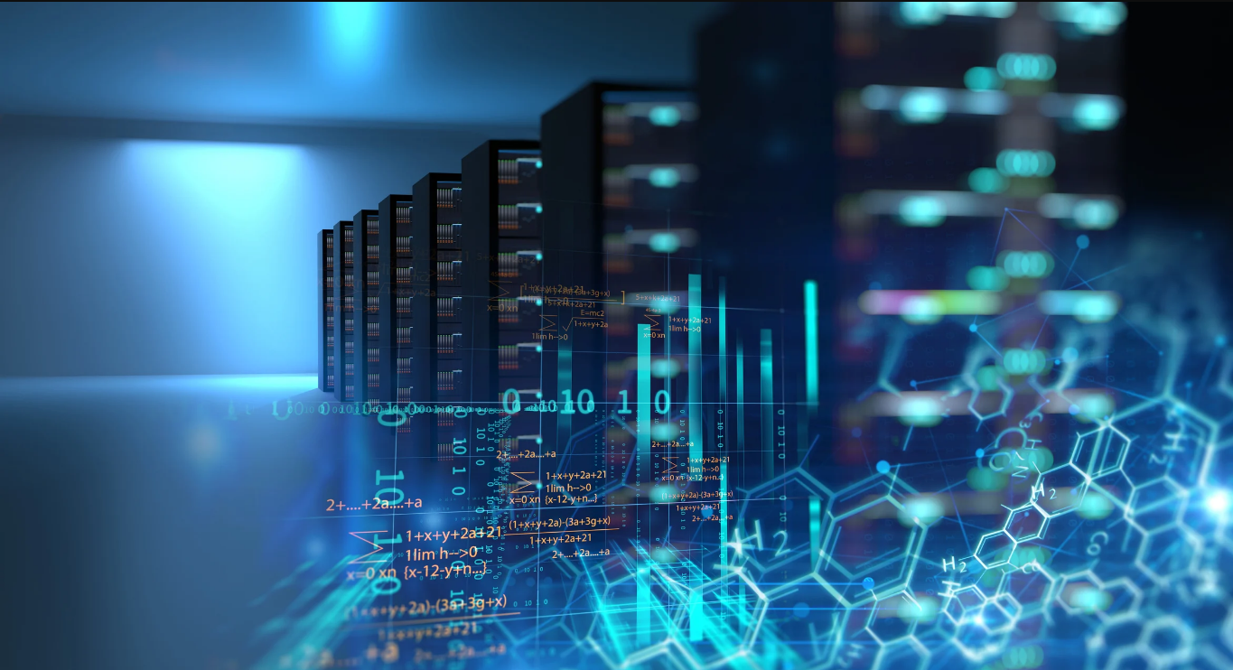 Information Technology and Organization