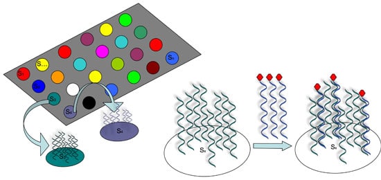 Microarray Technology