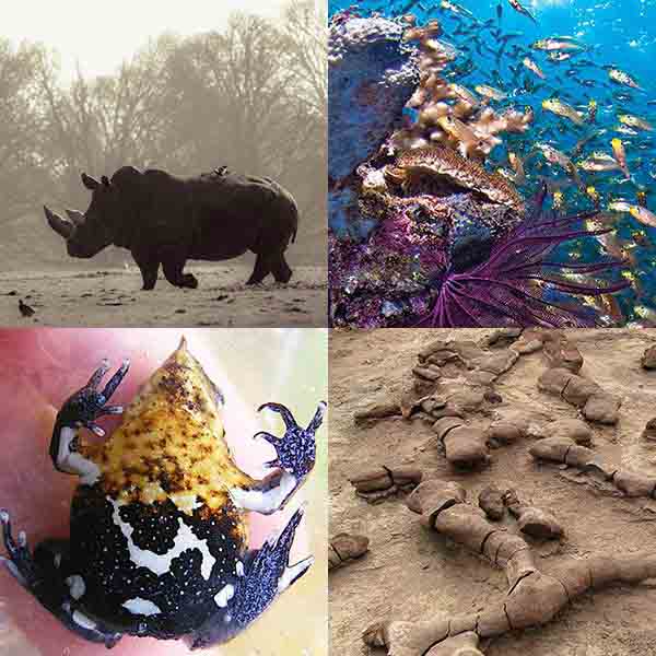 Ecological Effects of Climate Change