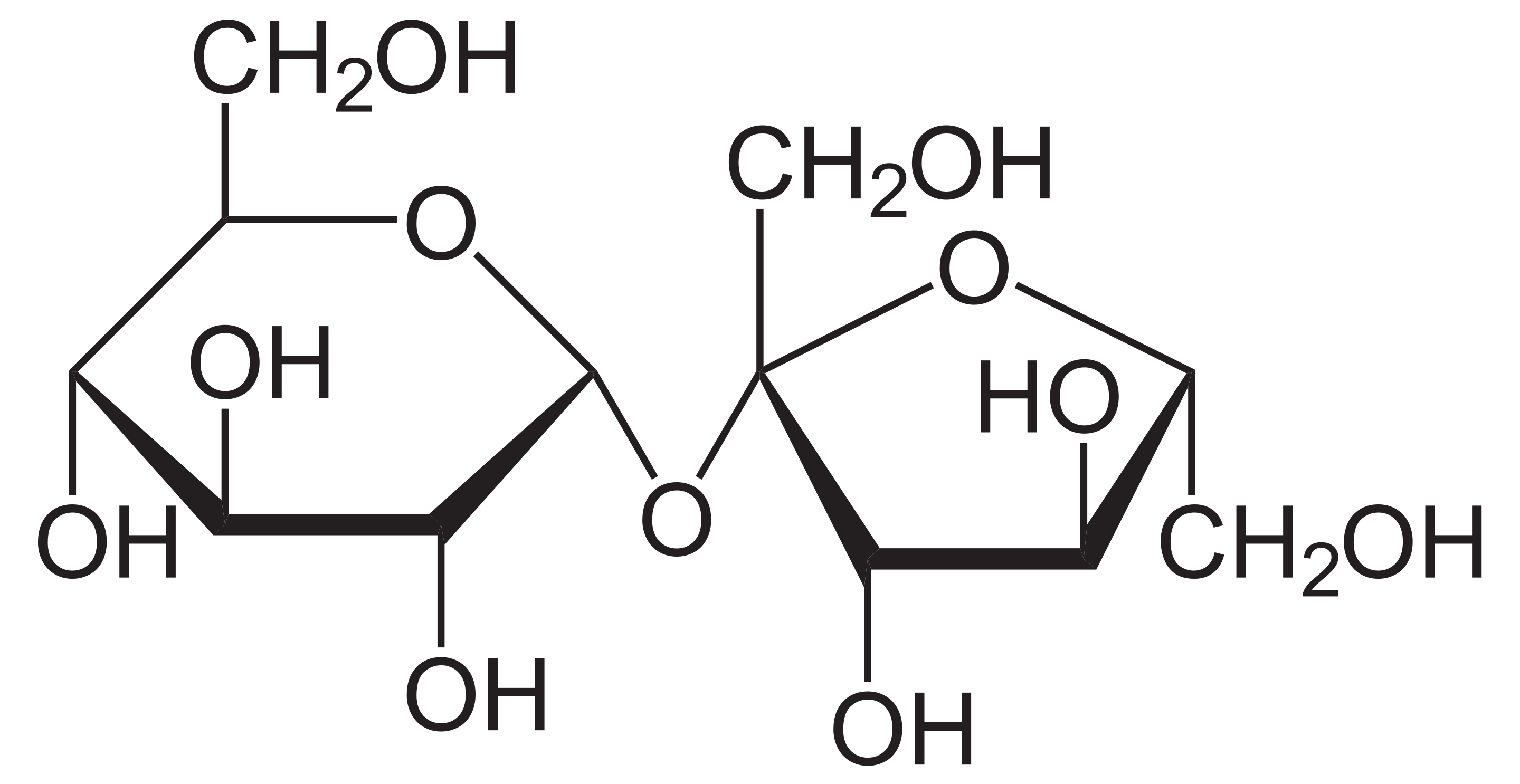 Carbohydrates and Glycobiology