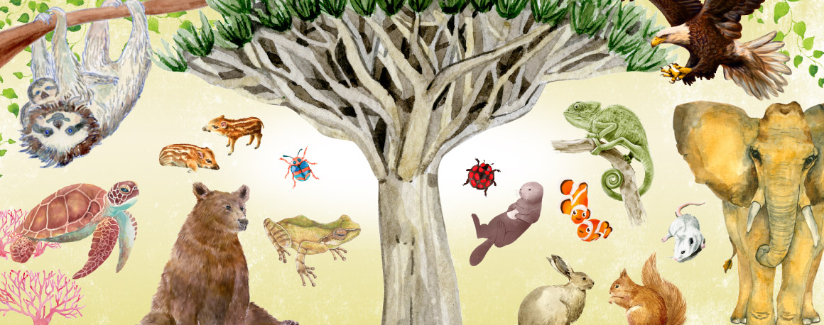 Endangered Species of Wild Fauna and Flora