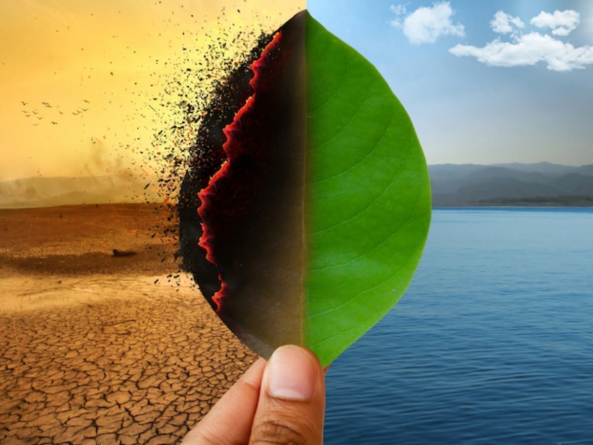 Factors Leading to Environmental Disasters