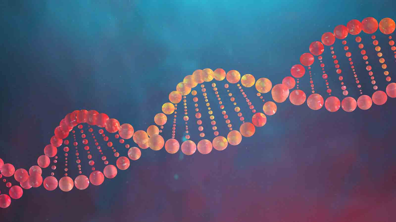 DNA Replication, Repair and Recombination