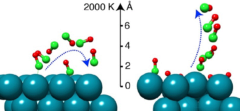 The Surface Chemical Bond