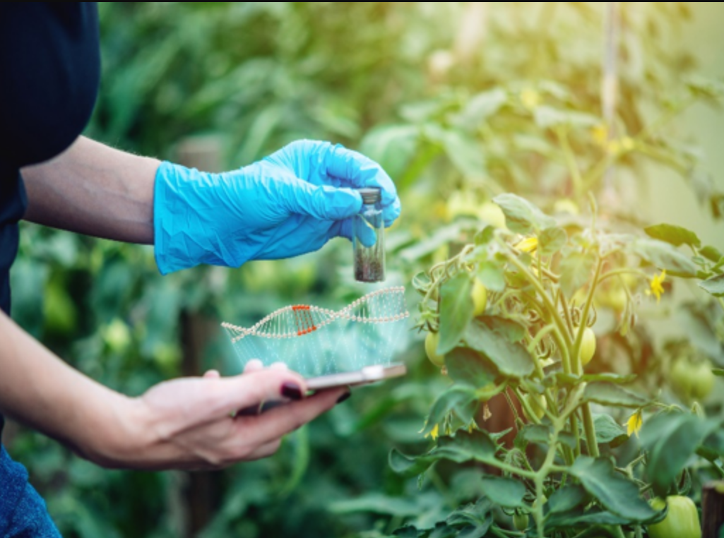 Genome Editing and Crops
