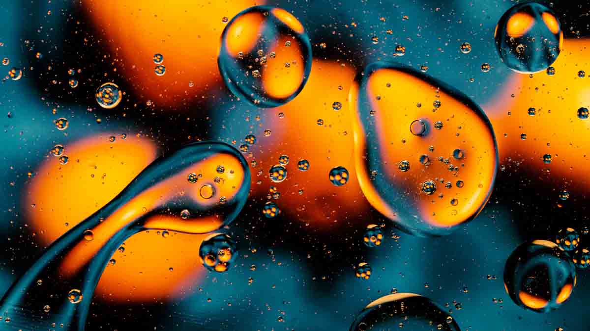 Polymer Dynamics