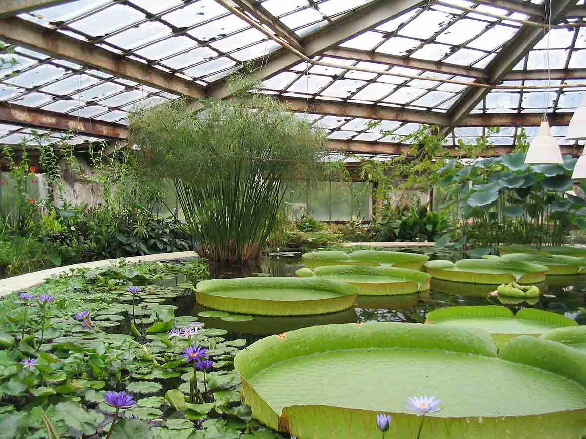 Greenhouse