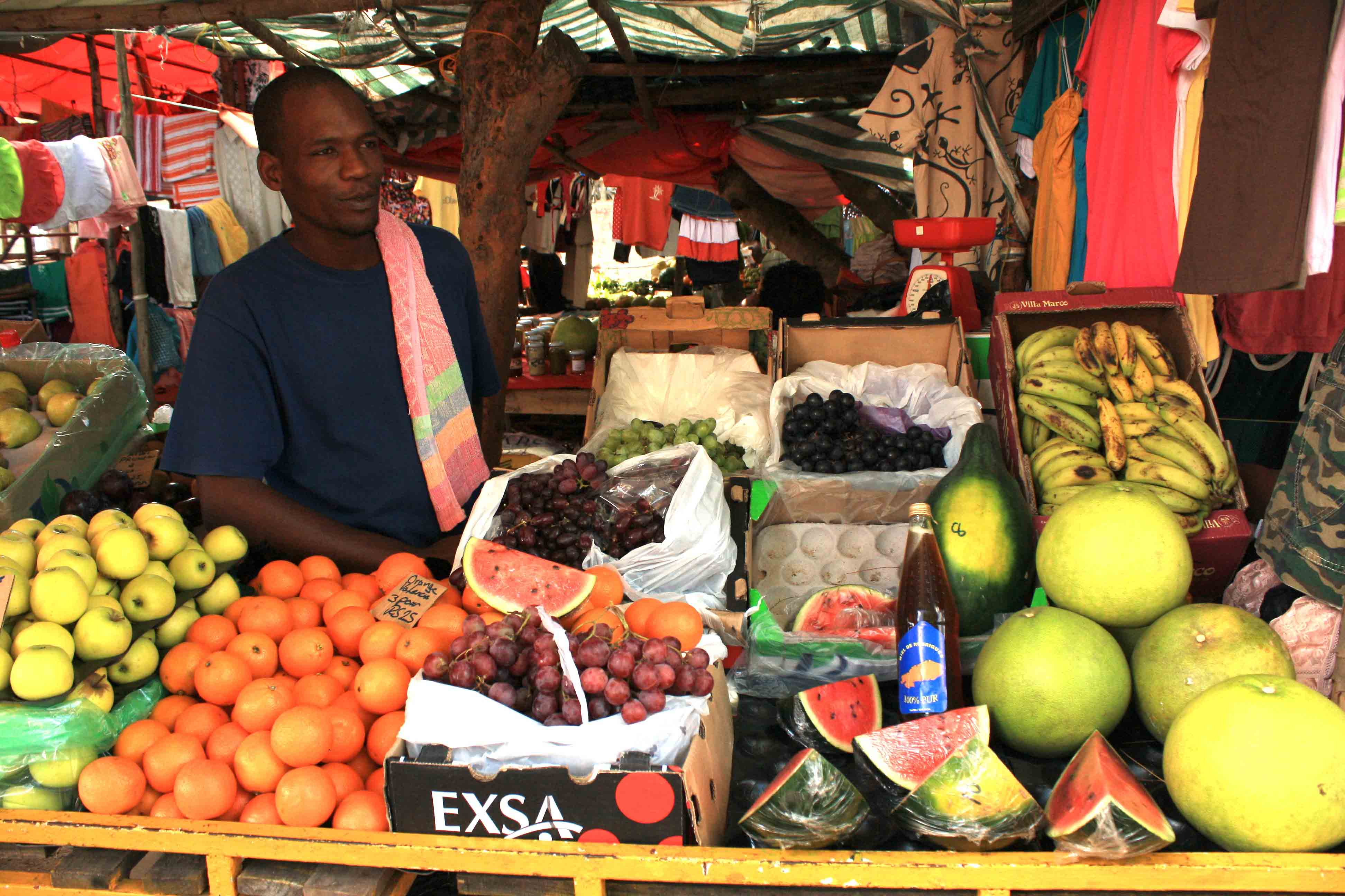 Biopreservation of Fruits