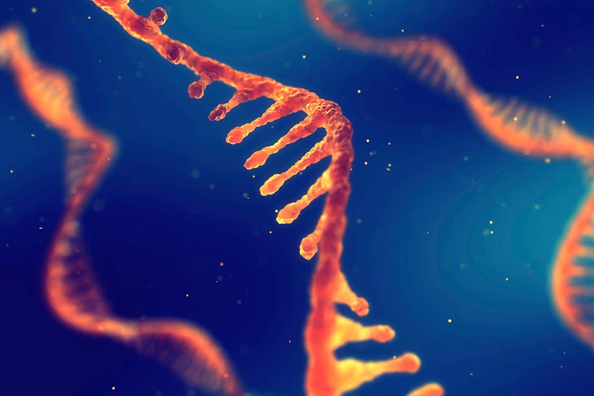RNA: Structure, Function, and Isolation