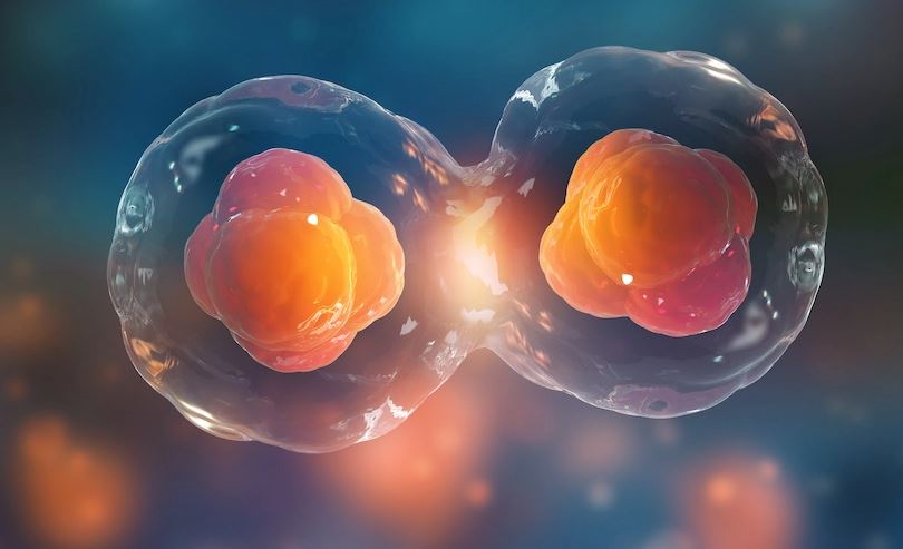 Cellular Aging and Death