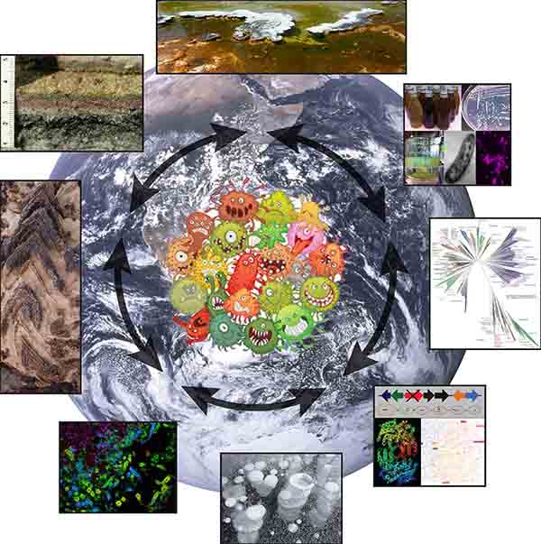 Geomicrobiology and Its Physiological Aspects