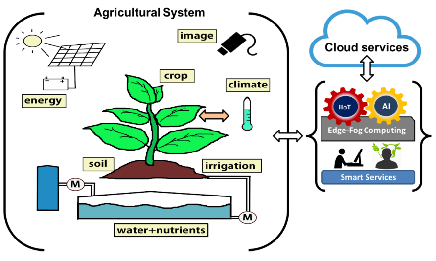 Geosensors in Crop Variability Studies
