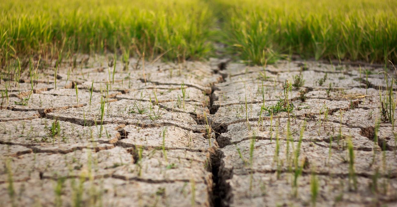 Soil Degradation