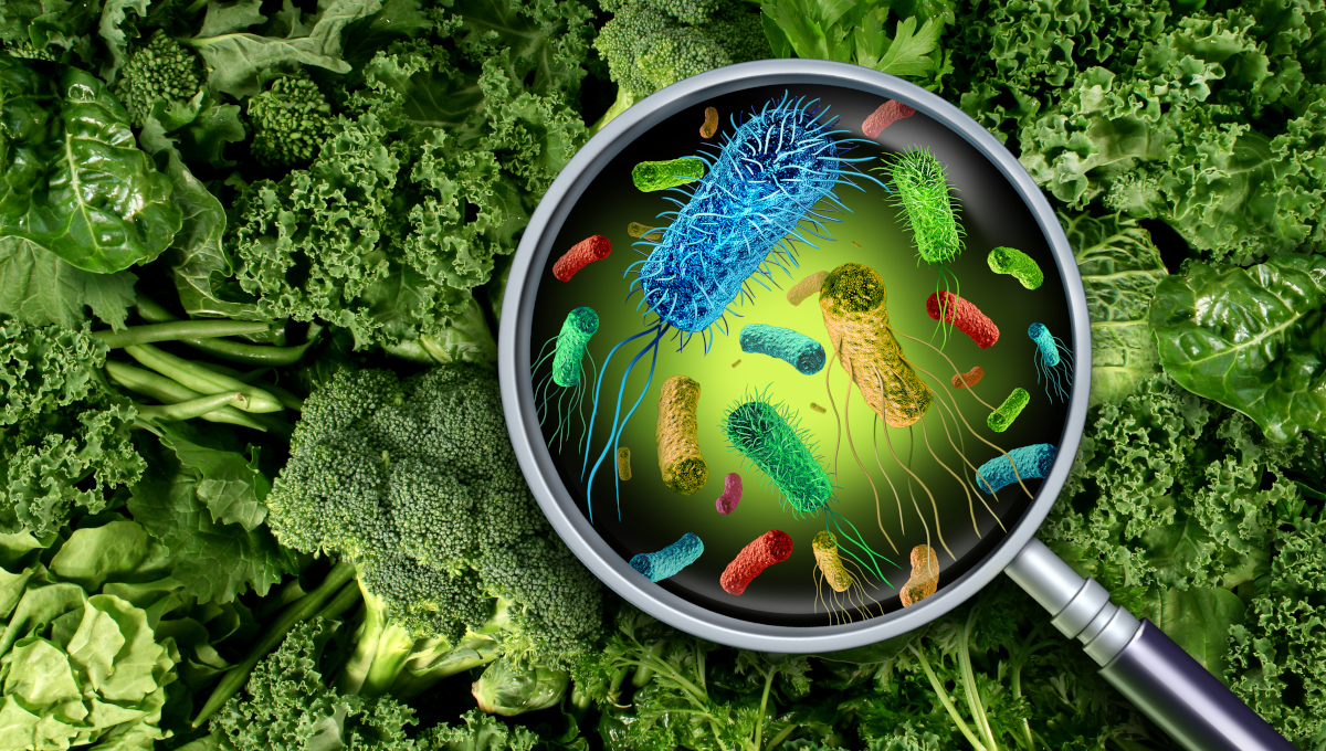 Microbial Contamination in Food