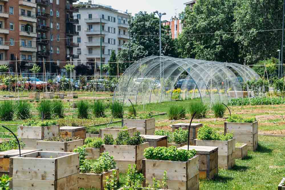 Small Scale Farming