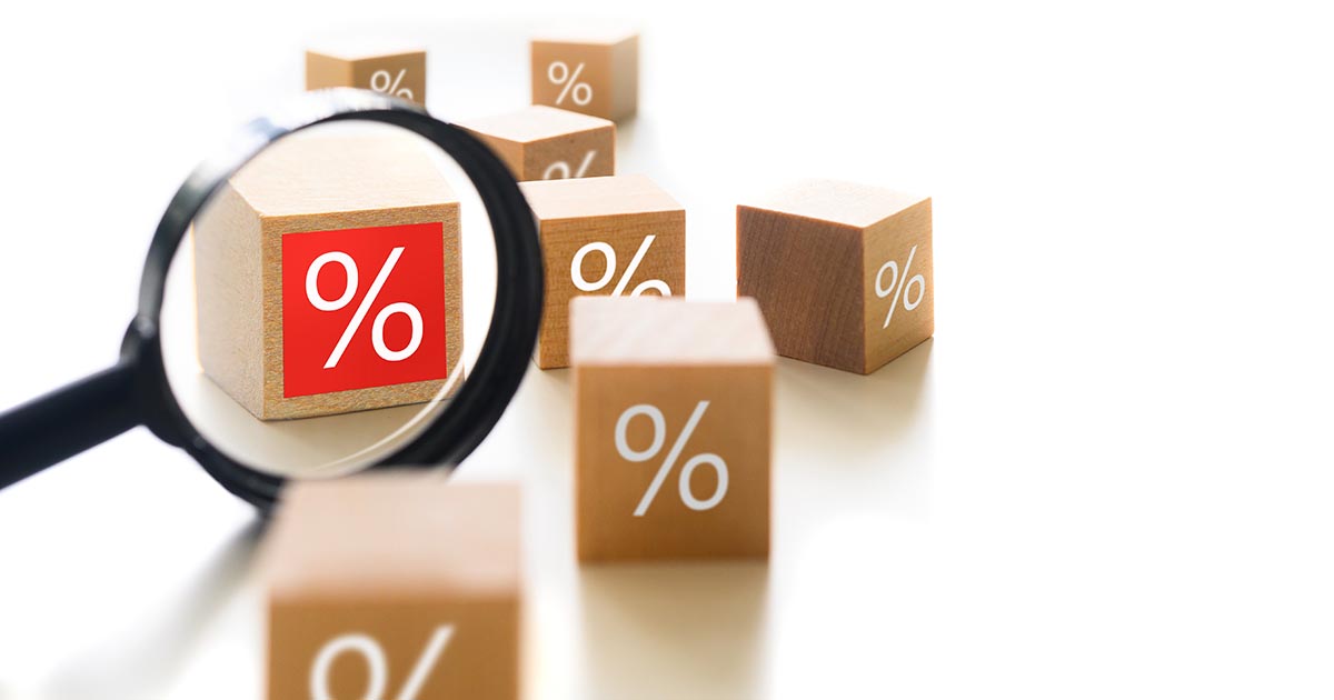 The Impact of Exchange Rate Uncertainty on Domestic Investment