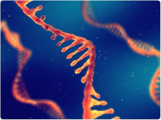 RNA Viruses