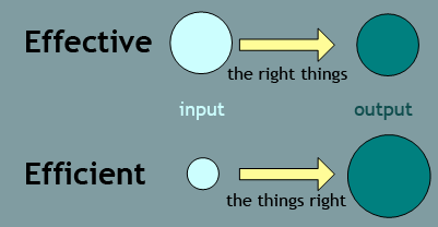 Principles of Management: Efficiency and Effectiveness in the Private and Public Sector