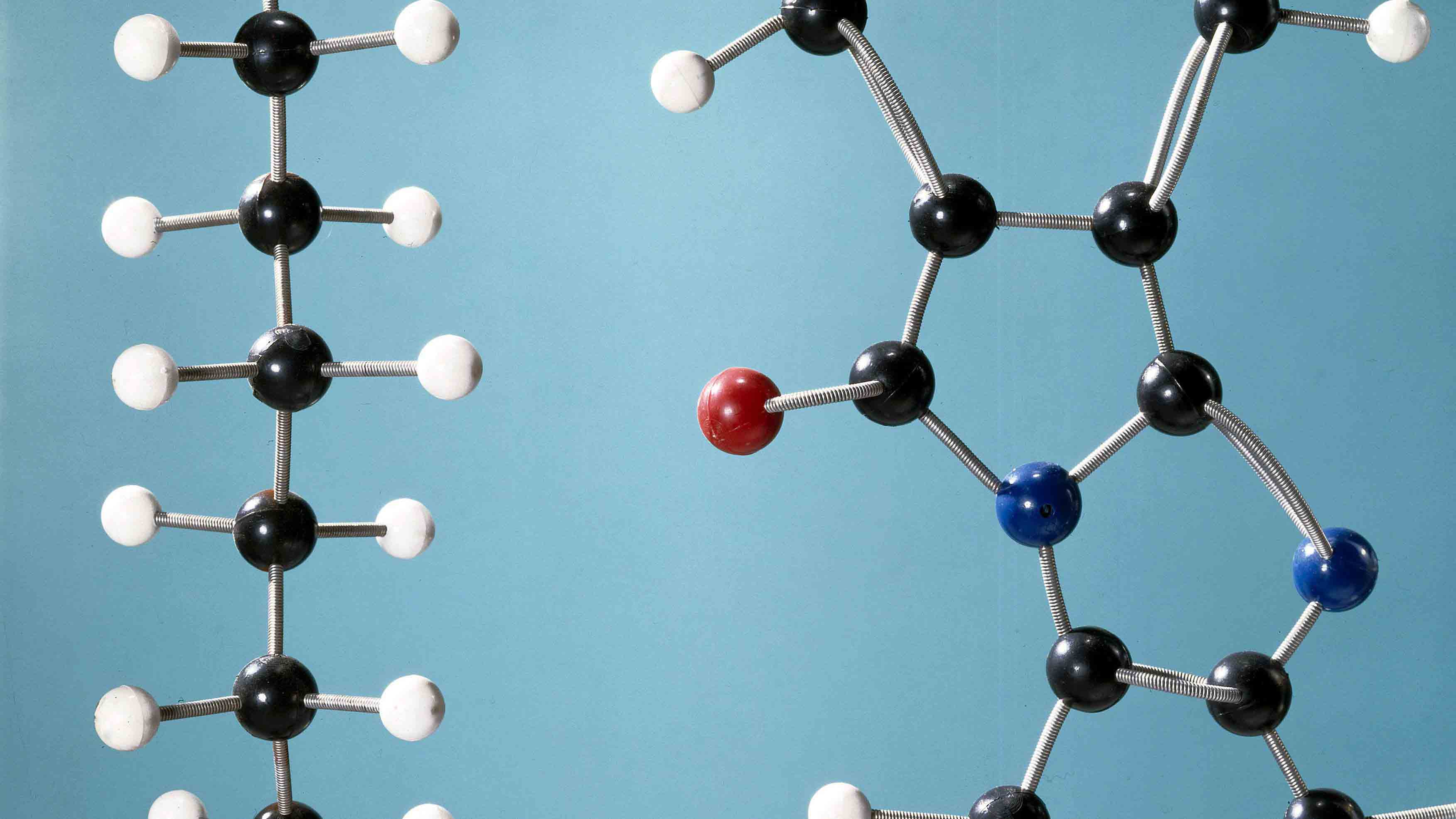 Structure of Polymers