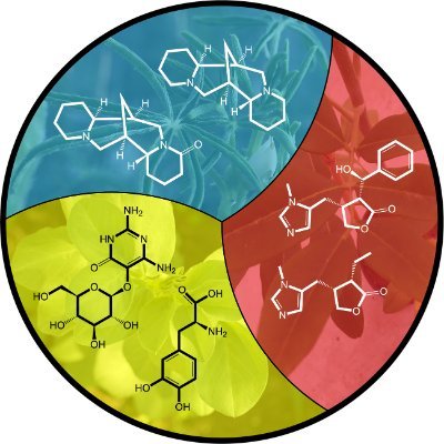 Alkaloids Biosynthesis