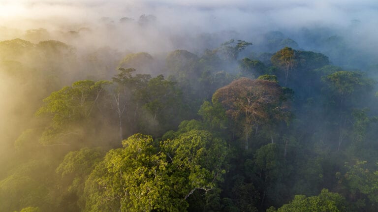 Ecological Diversity: Measuring the Unmeasurable