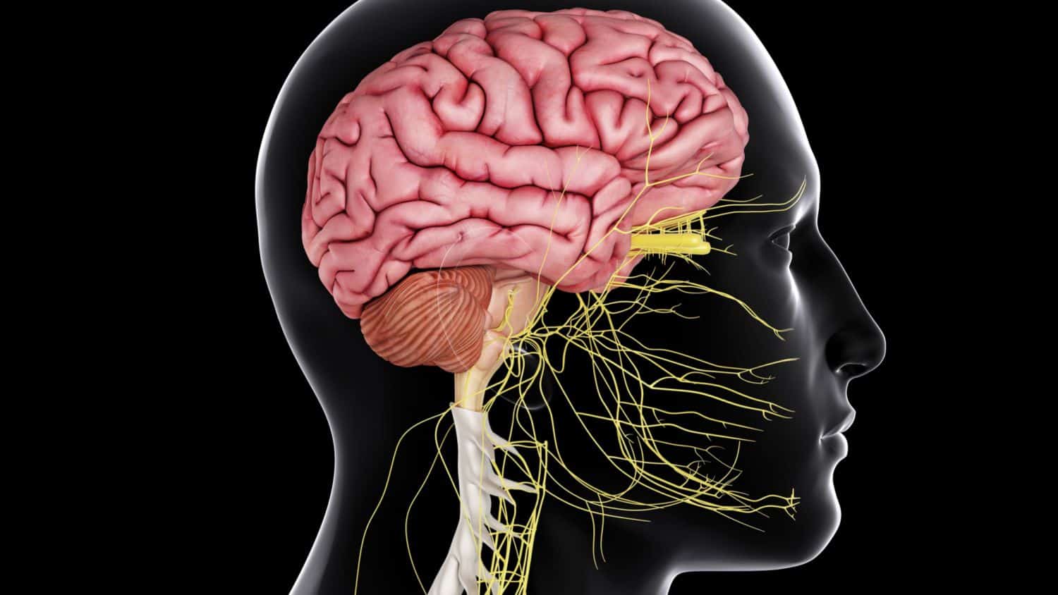 Drugs Acting on Central Nervous System