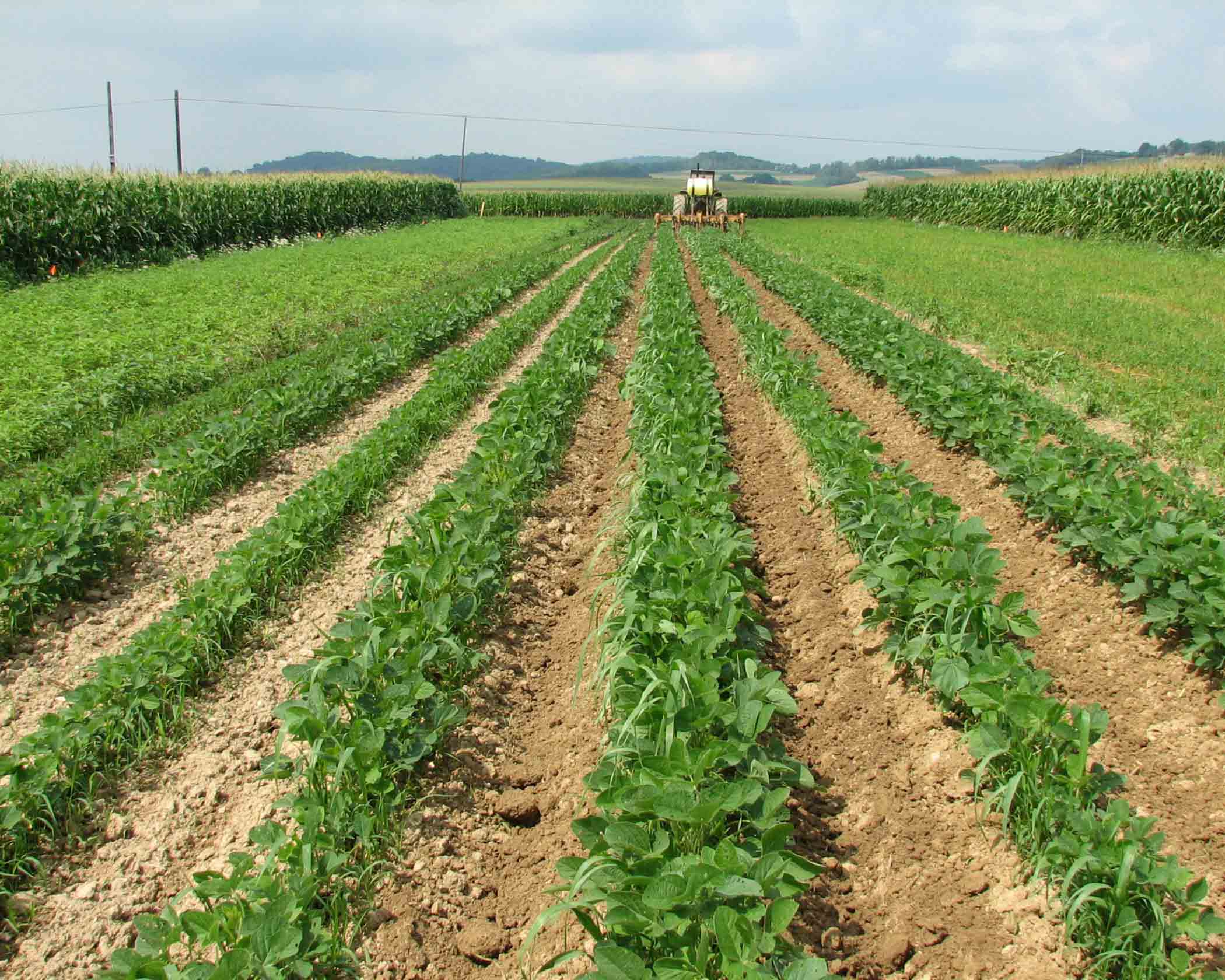 Concepts in Crop Rotations
