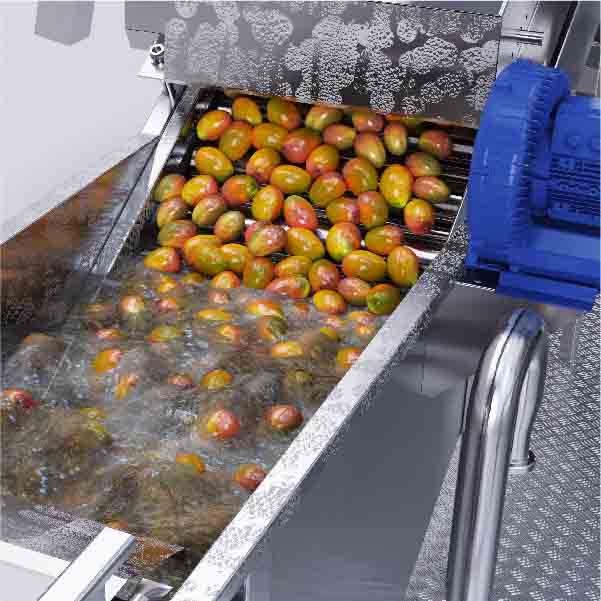 Tropical Food Processing