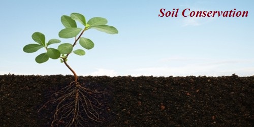 Soil Conservation