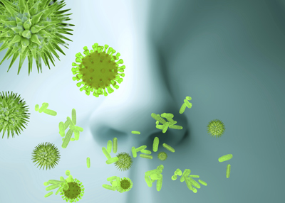 Food Allergens—Molecular and Immunological Characteristics