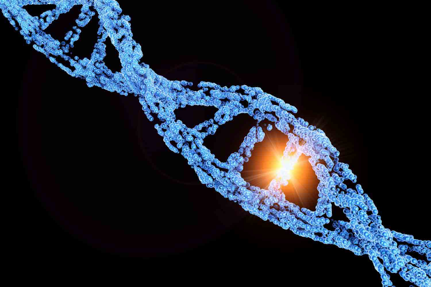 Gene Variation