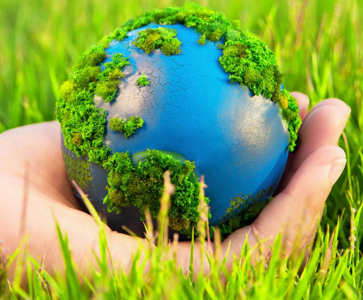 Nature Conservation for Sustainable Development