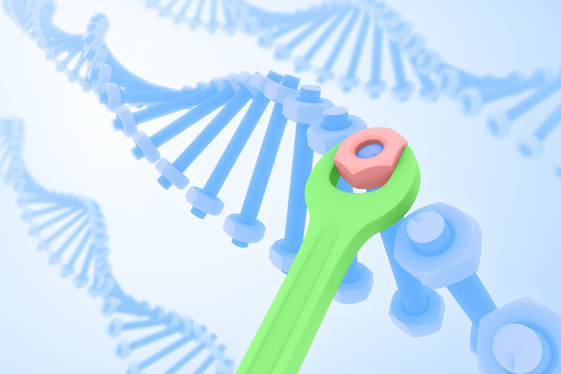 DNA Repair