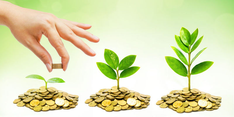 Evaluation Showcasing Success and Growth Opportunities