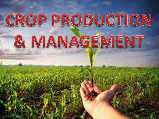 Crop Production and Management