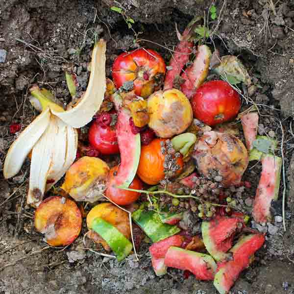 Ethical Issues in Food Loss