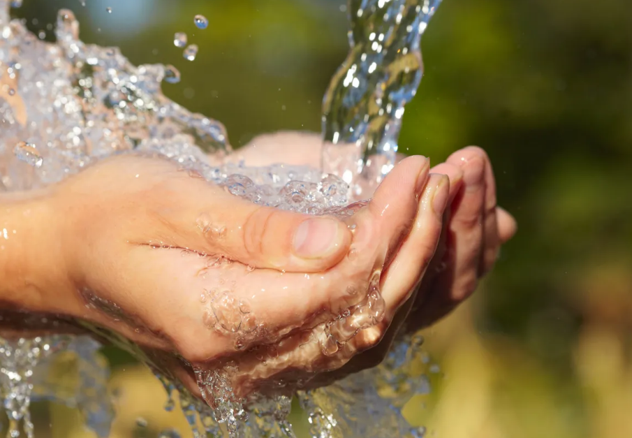 Impacts of Water Pollutants