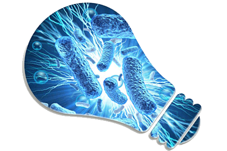 Microbial Fuel Cells