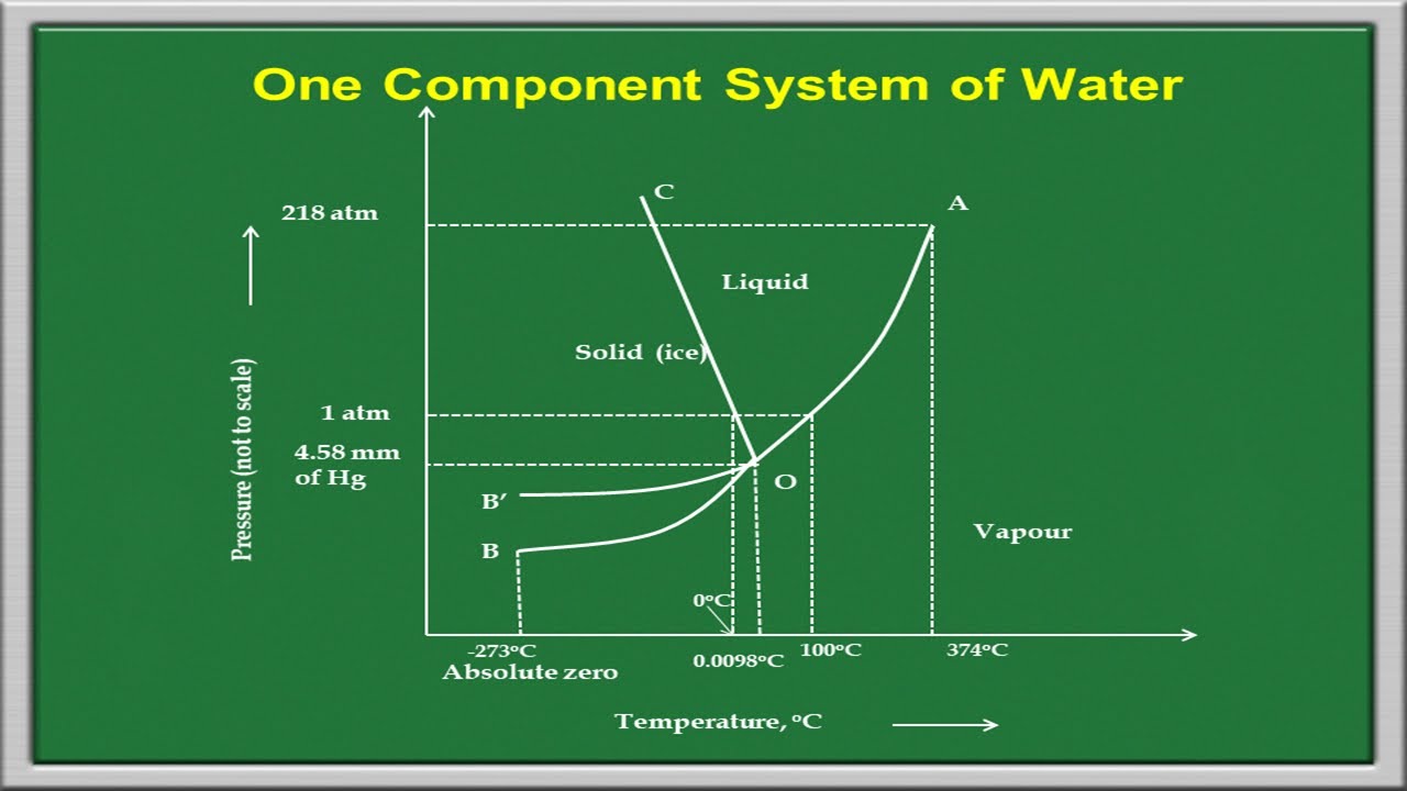 Phase Equilibria in Single Component Systems