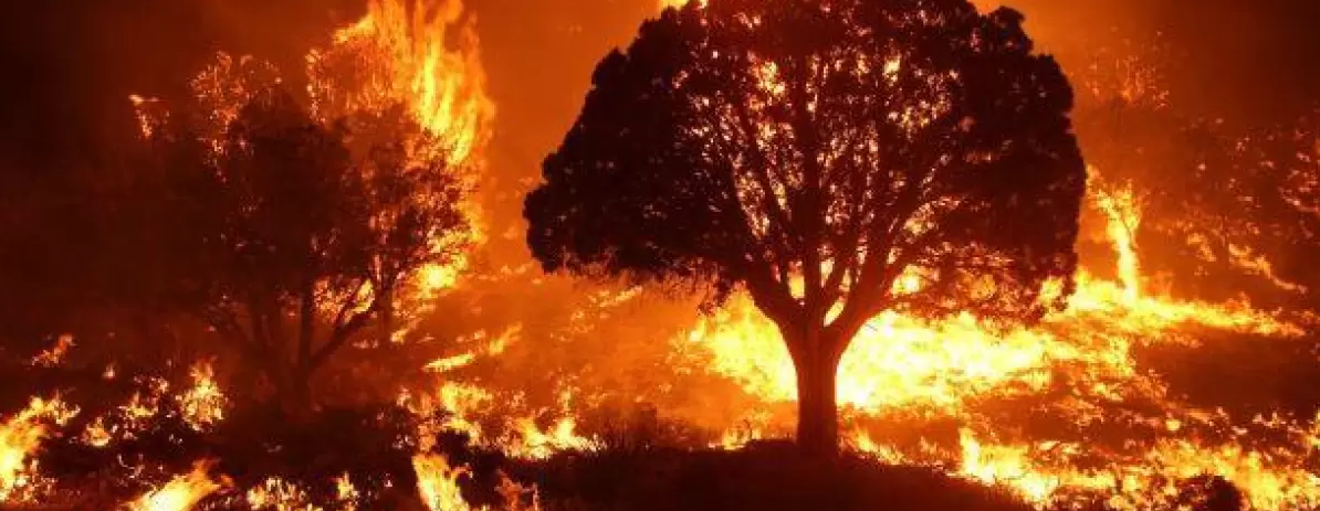 Lightning and Wildfires